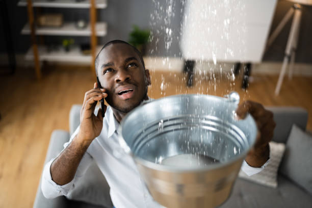Best Flood restoration services  in Fayetteville, AR