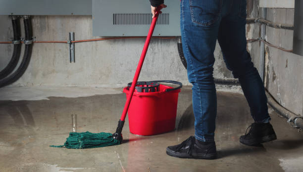 Best Water damage mitigation services  in Fayetteville, AR
