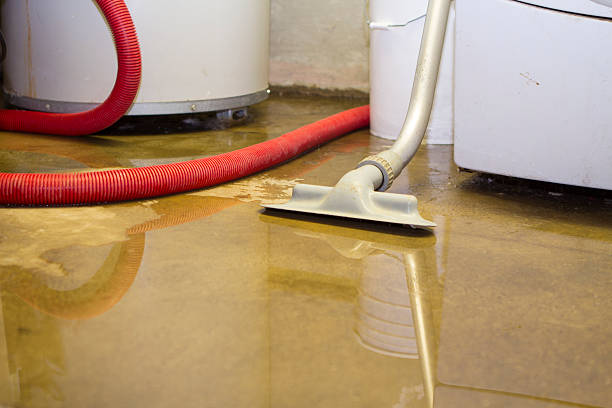 Best Water damage contractors near me  in Fayetteville, AR