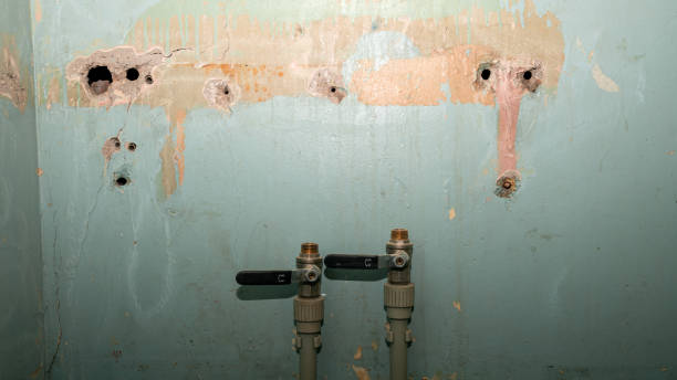 Best Carpet water damage restoration  in Fayetteville, AR