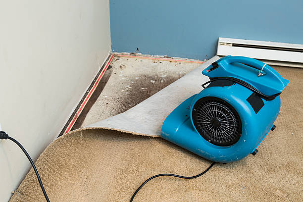 Best Professional water damage repair  in Fayetteville, AR
